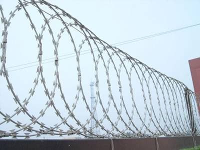 Razor wires - Image 1